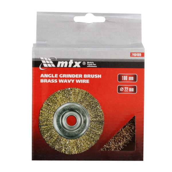 ESCOVA LATONADA CIRCULAR 100MM FURO 22MM MTX 746489