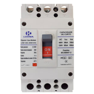 DISJ CX MOLDADA LUKMA LKM 3X80A 33012