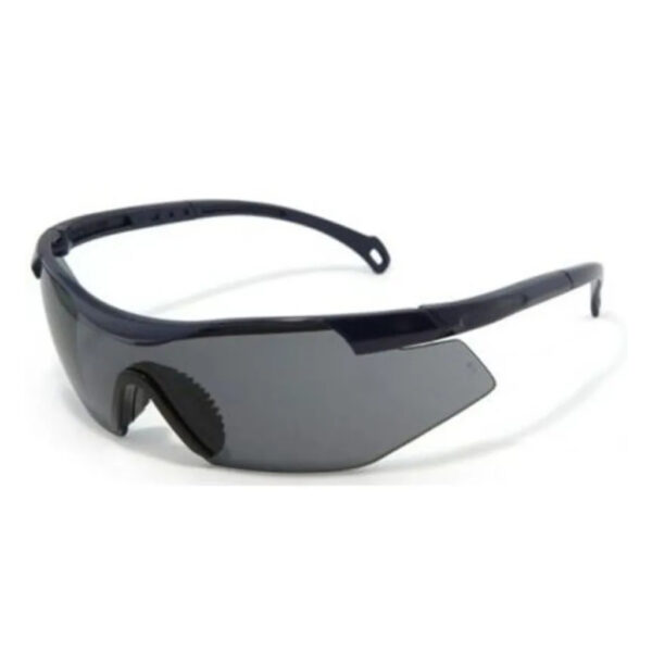 OCULOS DE PROTECAO PARATY CINZA KALIPSO 011712