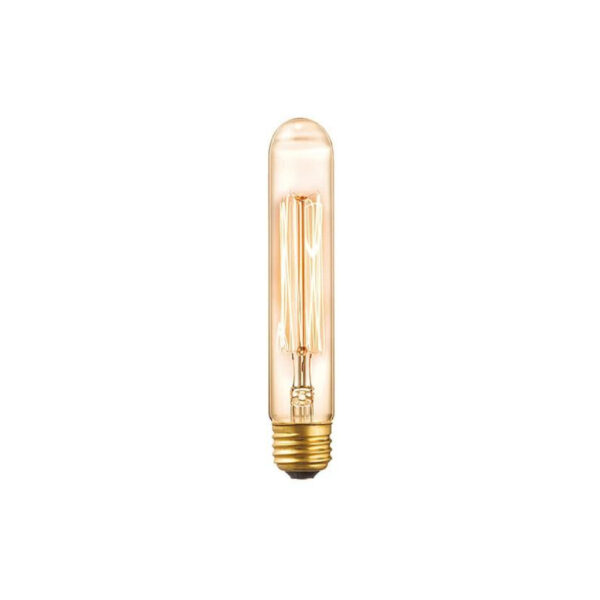 LAMPADA FILAMENTO CARBONO ST30 T9 40W 127V GALAXY 5025
